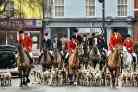 Poll: what is your opinion on fox hunting?
